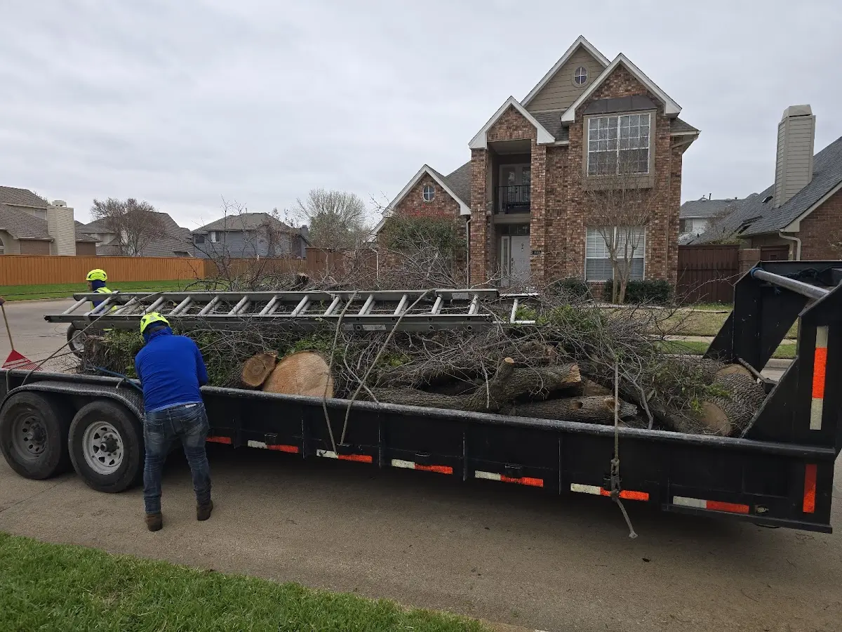 Expert Tree Fertilization with proper safety equipment in Jasper